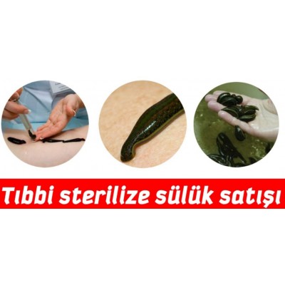 SÜLÜKÇÜ OSMAN SAÇAR